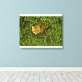 Young Red Fox komt uit struik Canvas Afdruk (Insitu (Houten vloer))