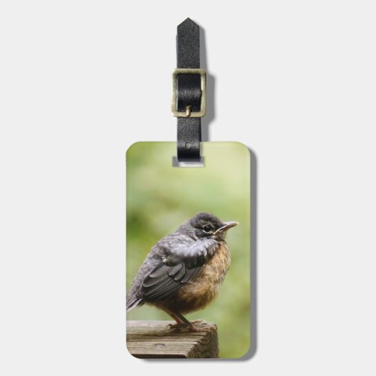 Young Robin Bagagelabel (Voorkant verticaal)