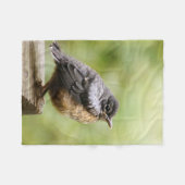 Young Robin Fleece Deken (Voorkant (Horizontaal))