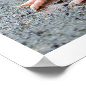 Young Robin Sitting Poster (Hoek)