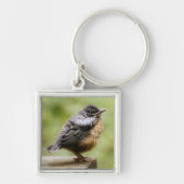 Young Robin Sleutelhanger (Voorkant)