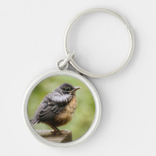 Young Robin Sleutelhanger