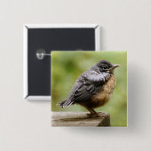 Young Robin Vierkante Button 5,1 Cm (Voorkant /achterkant)