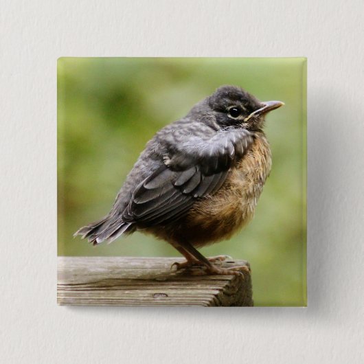 Young Robin Vierkante Button 5,1 Cm (Voorkant)