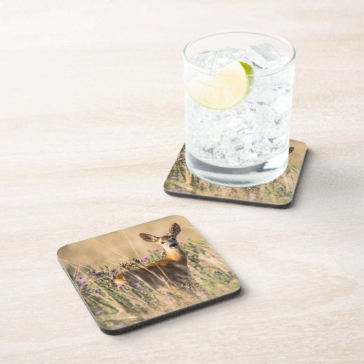 Young Roe Deer in Meadow Bier Onderzetter (Rechterzijde)