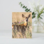 Young Roe Deer in Meadow Briefkaart (Staand voorkant)