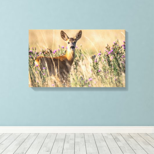 Young Roe Deer in Meadow Canvas Afdruk (Insitu (Houten vloer))