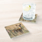 Young Roe Deer in Meadow Glazen Onderzetter (Schuin)