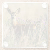 Young Roe Deer in Meadow Glazen Onderzetter (Achterkant)