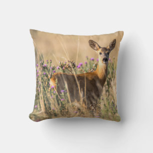 Young Roe Deer in Meadow Kussen