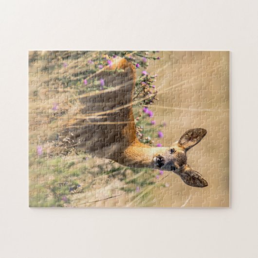 Young Roe Deer in Meadow Legpuzzel (Horizontaal)