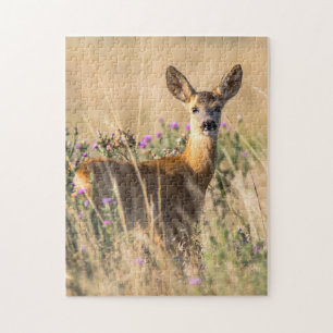 Young Roe Deer in Meadow Legpuzzel