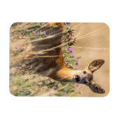 Young Roe Deer in Meadow Magneet (Horizontaal)