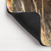 Young Roe Deer in Meadow Muismat (Hoek)