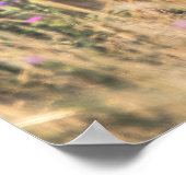 Young Roe Deer in Meadow Poster (Hoek)