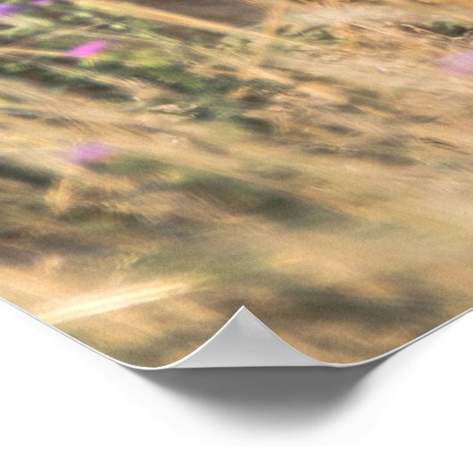 Young Roe Deer in Meadow Poster (Hoek)