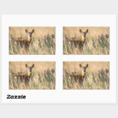 Young Roe Deer in Meadow Rechthoekige Sticker (Vel)