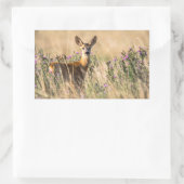 Young Roe Deer in Meadow Rechthoekige Sticker (Tas)