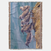 Young Ruddy Turnstone Deken (Voorkant Verticaal)