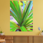 Young Screw Pine Canvas Afdruk (Insitu (Woonkamer))