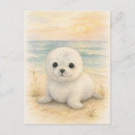 Young Seal Baby Wild Animals Briefkaart