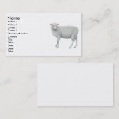 Young Sheepp Visitekaartje (Voorkant / Achterkant)