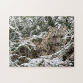 Young Snow Leopard Legpuzzel (Horizontaal)
