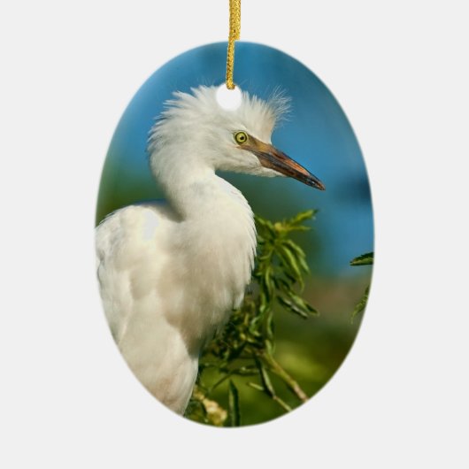Young Snowy Egret Ornament (Voorkant)