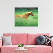 Young Stallion loopt door Meadow Canvas Afdruk (Insitu (Woonkamer))