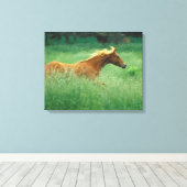 Young Stallion loopt door Meadow Canvas Afdruk (Insitu (Houten vloer))