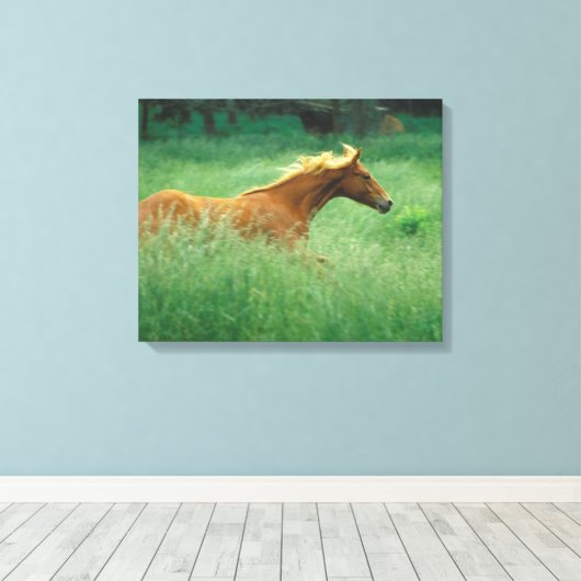 Young Stallion loopt door Meadow Canvas Afdruk (Insitu (Houten vloer))