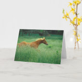 Young Stallion loopt door Meadow Kaart (Gele Bloem)