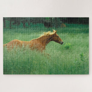 Young Stallion loopt door Meadow Legpuzzel