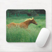 Young Stallion loopt door Meadow Muismat (Met muis)