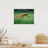 Young Stallion loopt door Meadow Poster (Keuken)