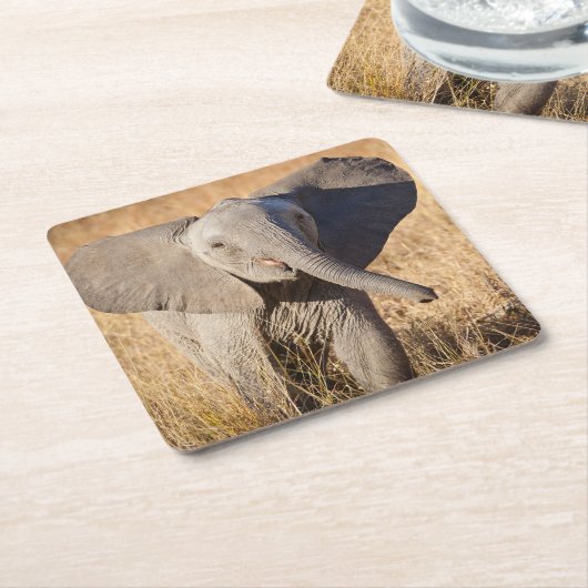 Young Struik Elephant Kartonnen Onderzetters (Schuin)