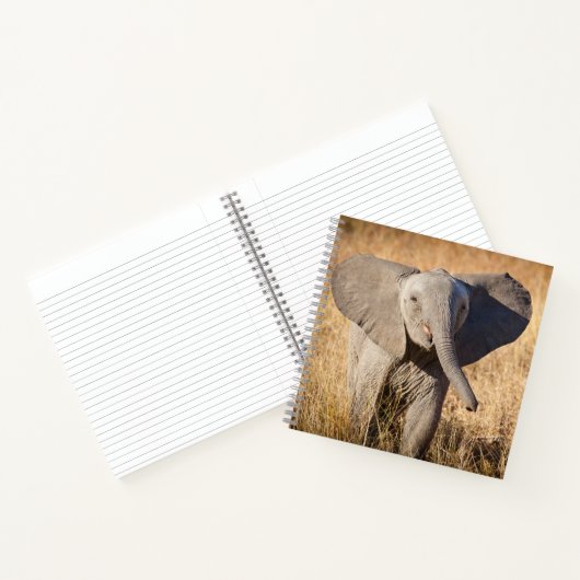 Young Struik Elephant Notitieboek (Binnen)