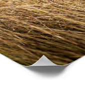 Young Struik Elephant Poster (Hoek)