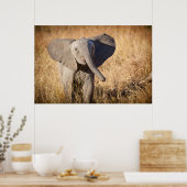 Young Struik Elephant Poster (Keuken)