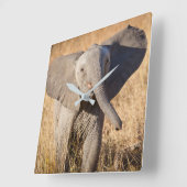 Young Struik Elephant Vierkante Klok (Hoek)