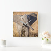 Young Struik Elephant Vierkante Klok (Huis)