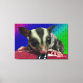 Young Sugar Glider Canvas (Voorkant)