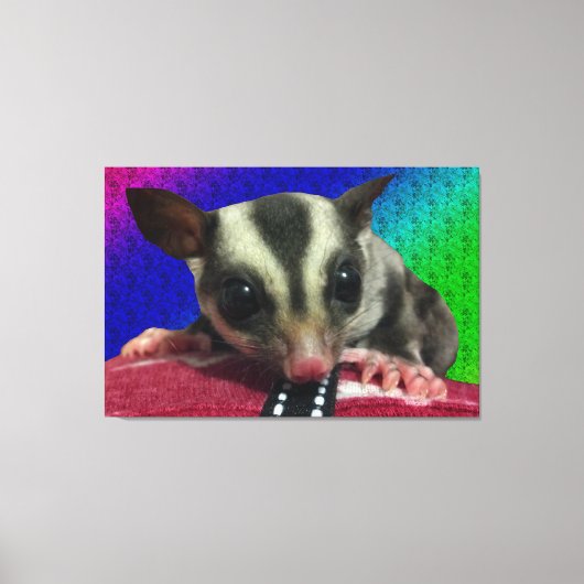 Young Sugar Glider Canvas Afdruk (Voorkant)