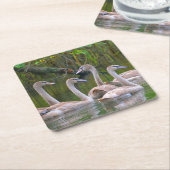 Young Swan Party Onderzetter (Schuin)