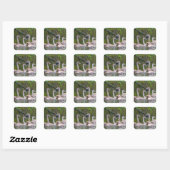 Young Swans Sticker (Vel)
