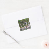 Young Swans Sticker (Envelop)