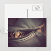 Young Tabby Kitten Briefkaart (Voorkant / Achterkant)