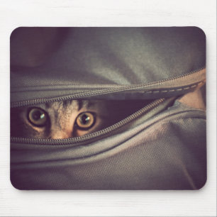 Young Tabby Kitten Muismat