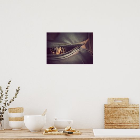 Young Tabby Kitten Poster (Keuken)