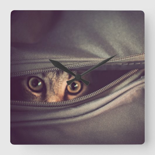 Young Tabby Kitten Vierkante Klok (Voorkant)